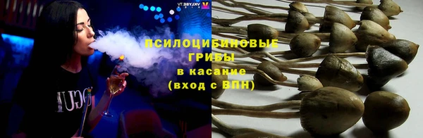 Альфа ПВП Беломорск