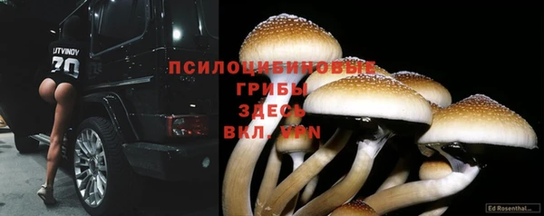 2c-b Белокуриха