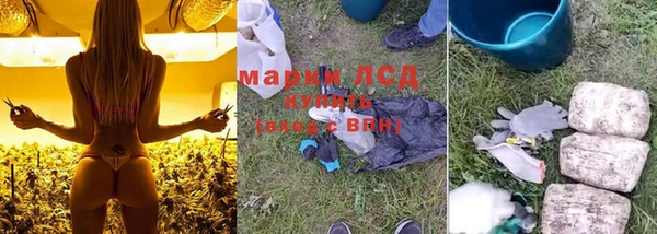 ПСИЛОЦИБИНОВЫЕ ГРИБЫ Белоозёрский