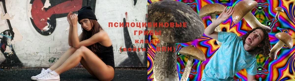 ПСИЛОЦИБИНОВЫЕ ГРИБЫ Белоозёрский